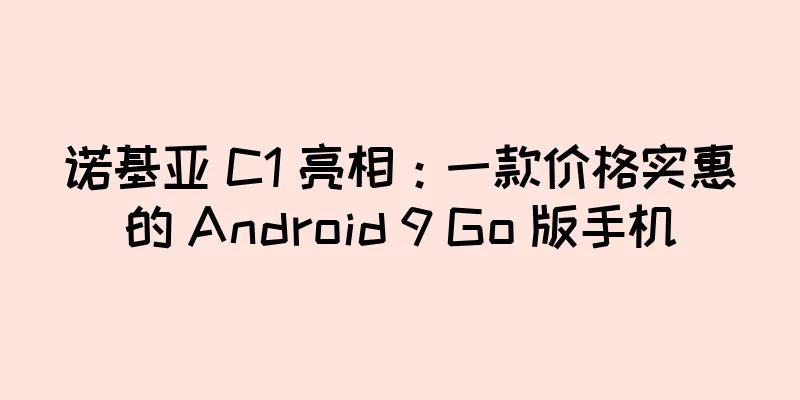 诺基亚 C1 亮相：一款价格实惠的 Android 9 Go 版手机
