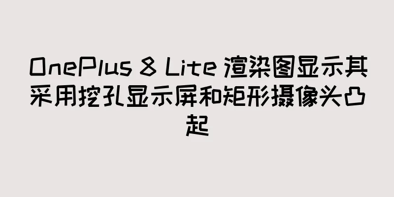 OnePlus 8 Lite 渲染图显示其采用挖孔显示屏和矩形摄像头凸起