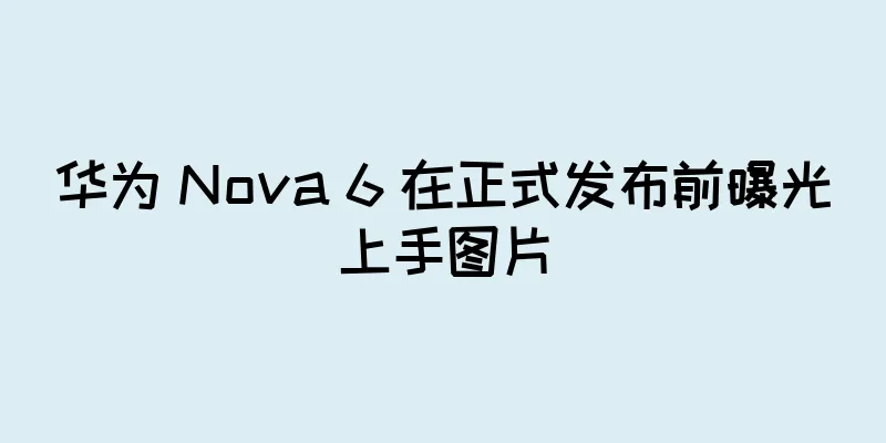 华为 Nova 6 在正式发布前曝光上手图片