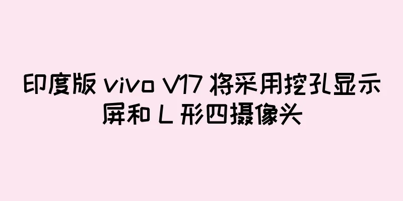 印度版 vivo V17 将采用挖孔显示屏和 L 形四摄像头