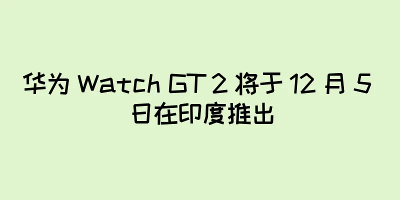 华为 Watch GT 2 将于 12 月 5 日在印度推出