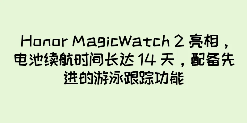 Honor MagicWatch 2 亮相，电池续航时间长达 14 天，配备先进的游泳跟踪功能