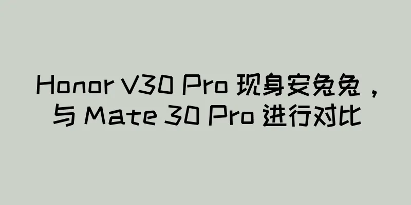 Honor V30 Pro 现身安兔兔，与 Mate 30 Pro 进行对比