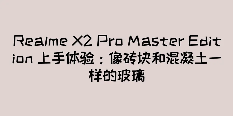 Realme X2 Pro Master Edition 上手体验：像砖块和混凝土一样的玻璃