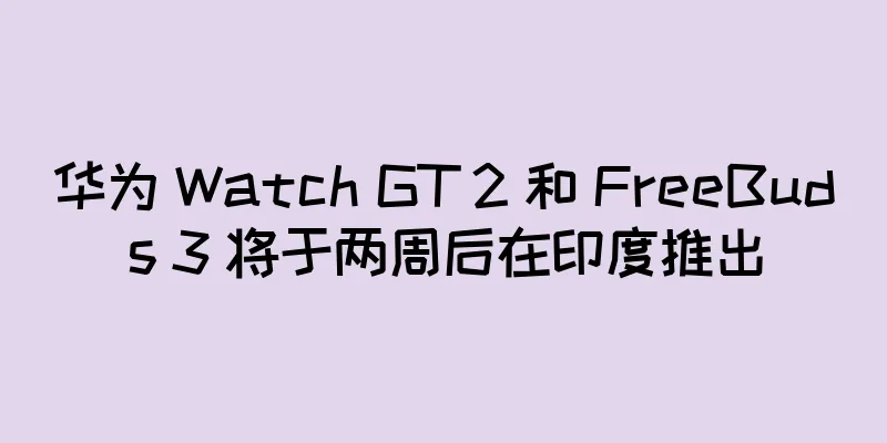 华为 Watch GT 2 和 FreeBuds 3 将于两周后在印度推出