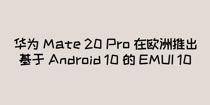 华为 Mate 20 Pro 在欧洲推出基于 Android 10 的 EMUI 10