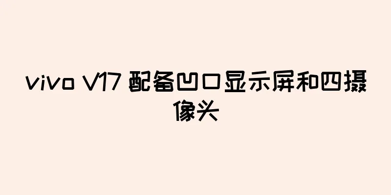 vivo V17 配备凹口显示屏和四摄像头