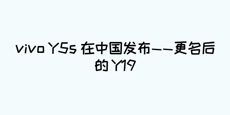 vivo Y5s 在中国发布——更名后的 Y19