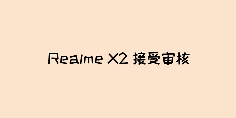 Realme X2 接受审核