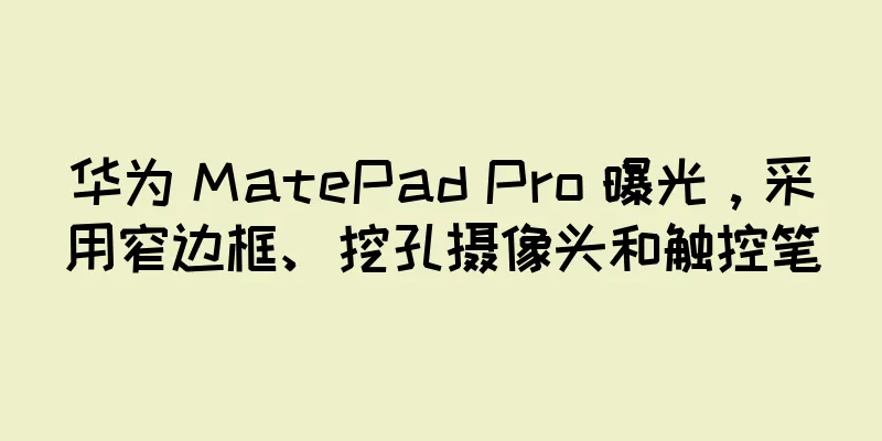 华为 MatePad Pro 曝光，采用窄边框、挖孔摄像头和触控笔