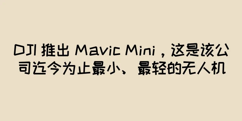 DJI 推出 Mavic Mini，这是该公司迄今为止最小、最轻的无人机