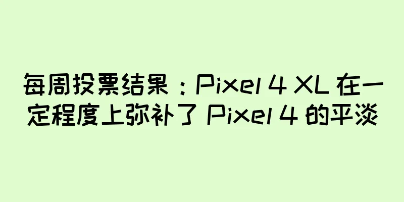 每周投票结果：Pixel 4 XL 在一定程度上弥补了 Pixel 4 的平淡