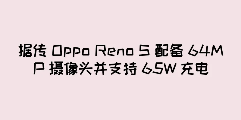 据传 Oppo Reno S 配备 64MP 摄像头并支持 65W 充电