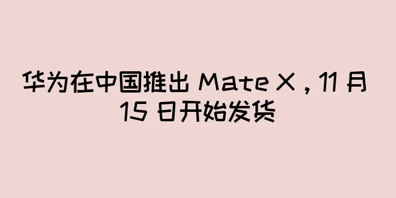 华为在中国推出 Mate X，11 月 15 日开始发货