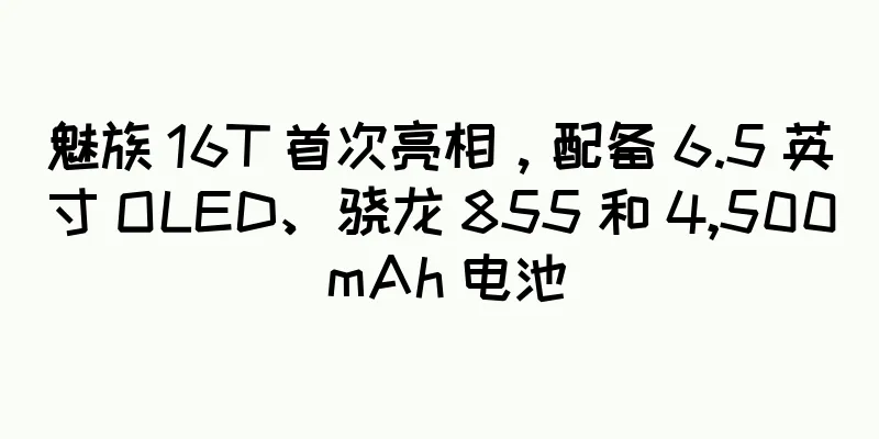 魅族 16T 首次亮相，配备 6.5 英寸 OLED、骁龙 855 和 4,500 mAh 电池