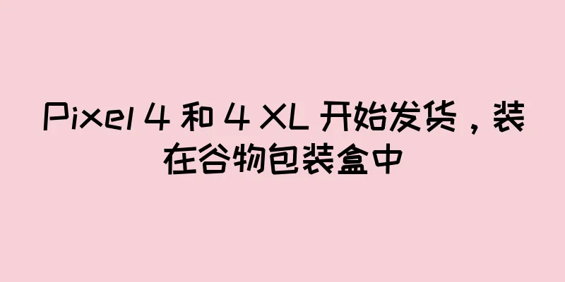 Pixel 4 和 4 XL 开始发货，装在谷物包装盒中
