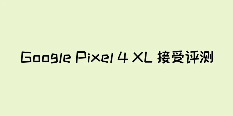 Google Pixel 4 XL 接受评测