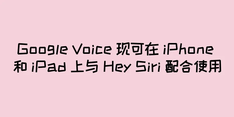 Google Voice 现可在 iPhone 和 iPad 上与 Hey Siri 配合使用