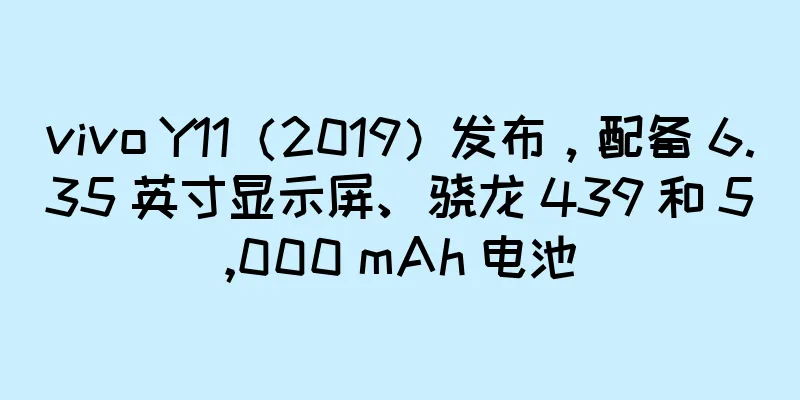 vivo Y11（2019）发布，配备 6.35 英寸显示屏、骁龙 439 和 5,000 mAh 电池