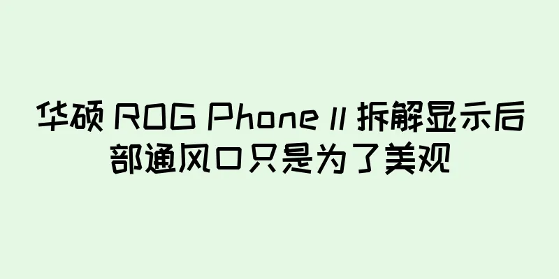 华硕 ROG Phone ll 拆解显示后部通风口只是为了美观