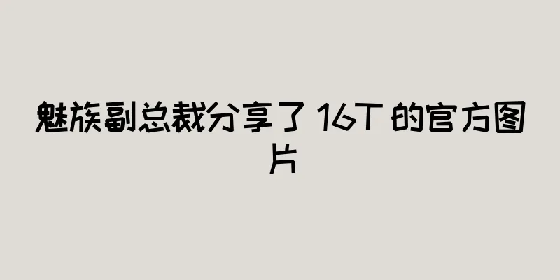 魅族副总裁分享了 16T 的官方图片