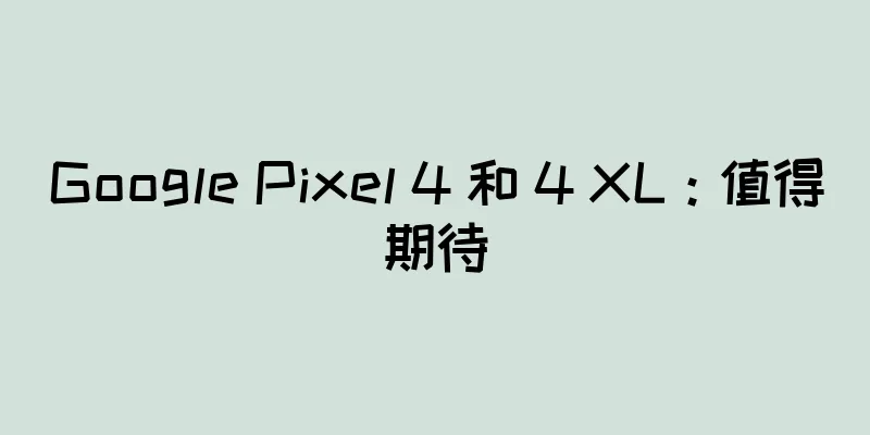 Google Pixel 4 和 4 XL：值得期待