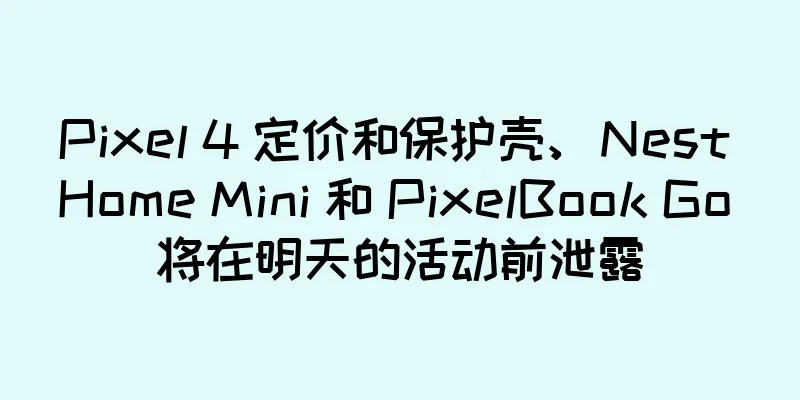 Pixel 4 定价和保护壳、Nest Home Mini 和 PixelBook Go 将在明天的活动前泄露