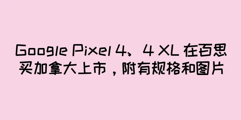 Google Pixel 4、4 XL 在百思买加拿大上市，附有规格和图片