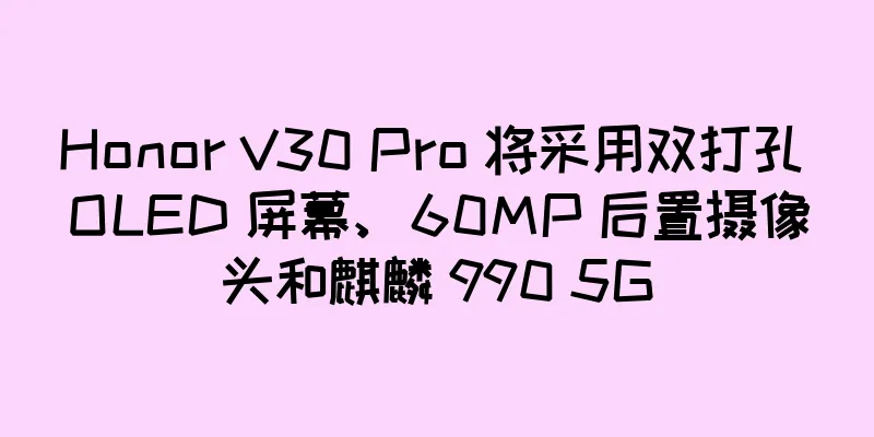 Honor V30 Pro 将采用双打孔 OLED 屏幕、60MP 后置摄像头和麒麟 990 5G