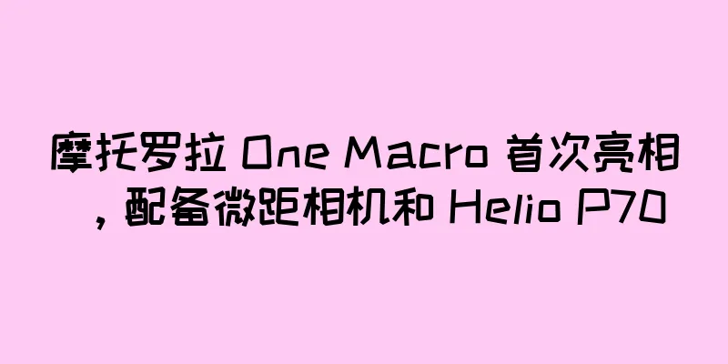 摩托罗拉 One Macro 首次亮相，配备微距相机和 Helio P70