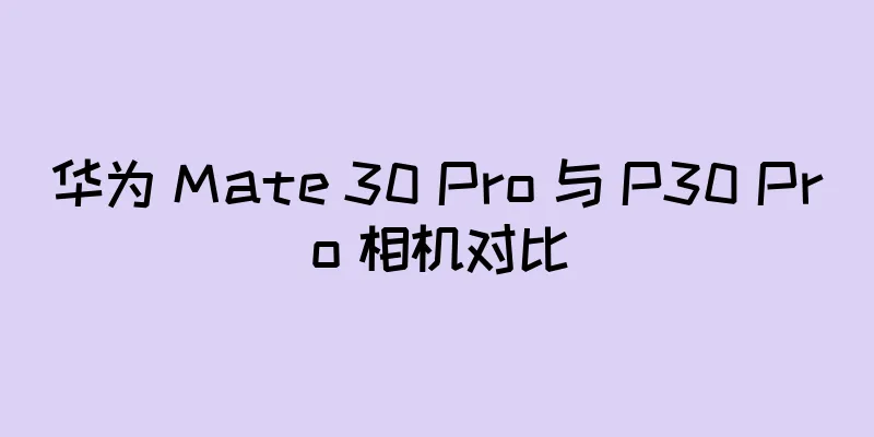 华为 Mate 30 Pro 与 P30 Pro 相机对比