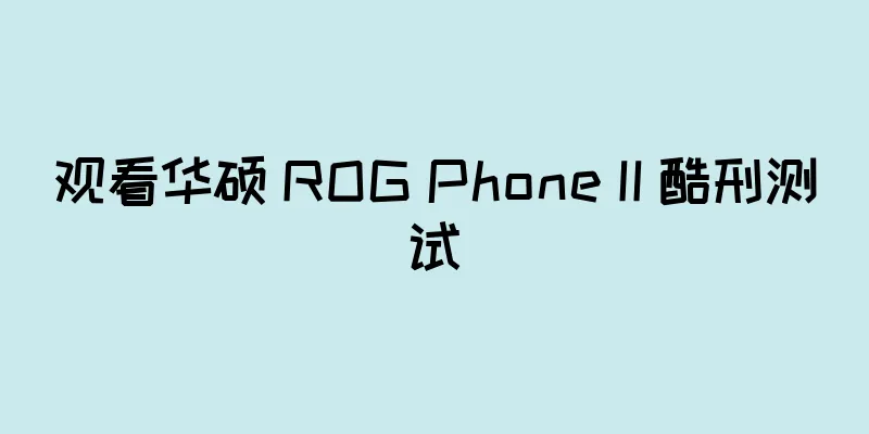 观看华硕 ROG Phone II 酷刑测试