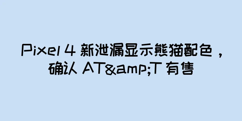 Pixel 4 新泄漏显示熊猫配色，确认 AT&T 有售