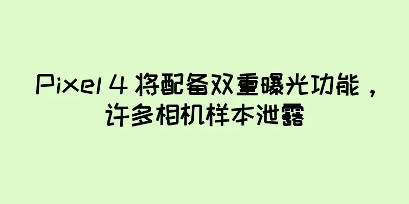 Pixel 4 将配备双重曝光功能，许多相机样本泄露