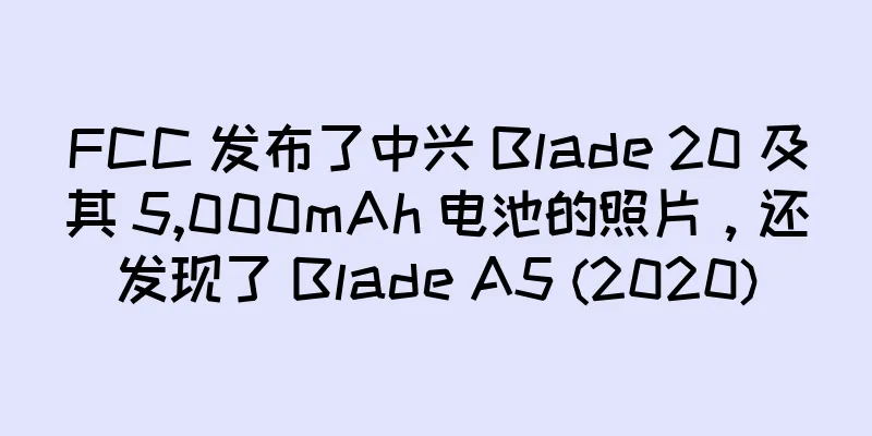 FCC 发布了中兴 Blade 20 及其 5,000mAh 电池的照片，还发现了 Blade A5 (2020)