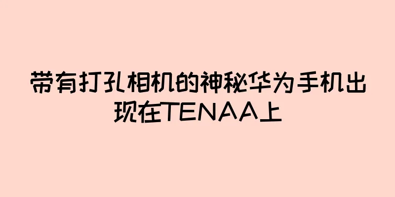 带有打孔相机的神秘华为手机出现在TENAA上