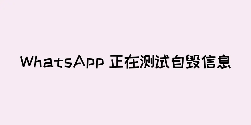 WhatsApp 正在测试自毁信息