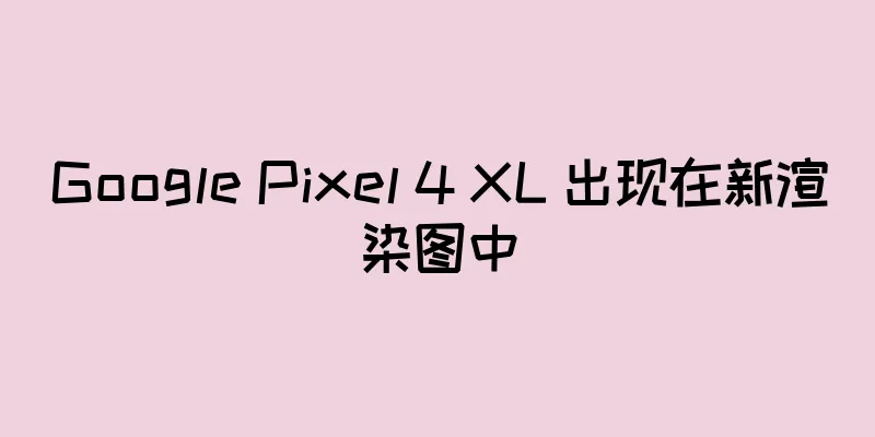Google Pixel 4 XL 出现在新渲染图中