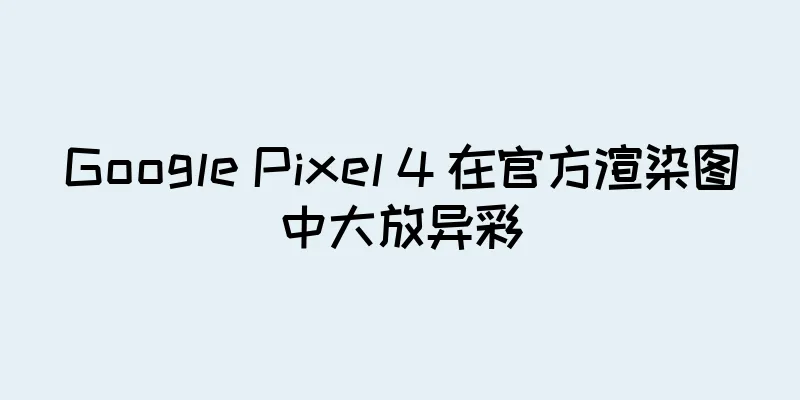 Google Pixel 4 在官方渲染图中大放异彩