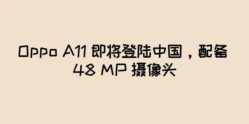 Oppo A11 即将登陆中国，配备 48 MP 摄像头