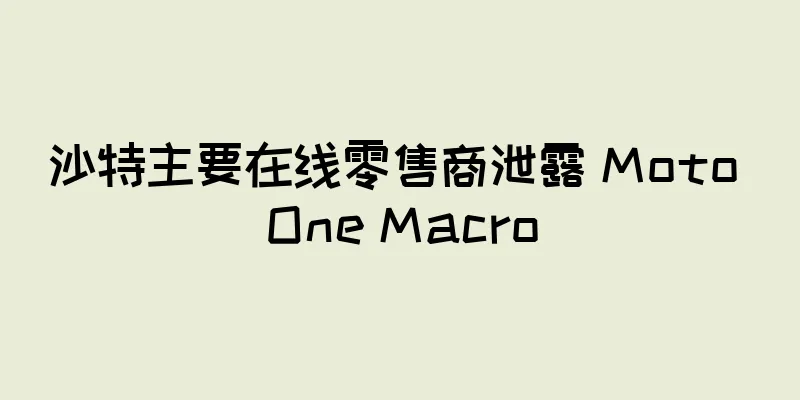 沙特主要在线零售商泄露 Moto One Macro