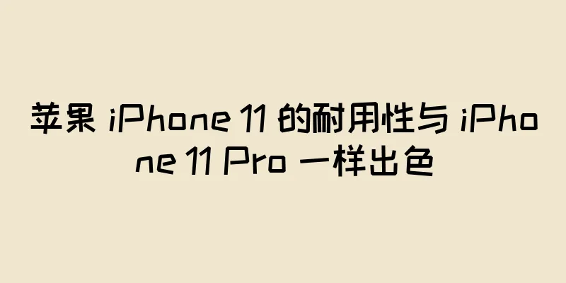 苹果 iPhone 11 的耐用性与 iPhone 11 Pro 一样出色