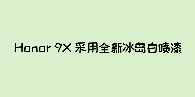 Honor 9X 采用全新冰岛白喷漆