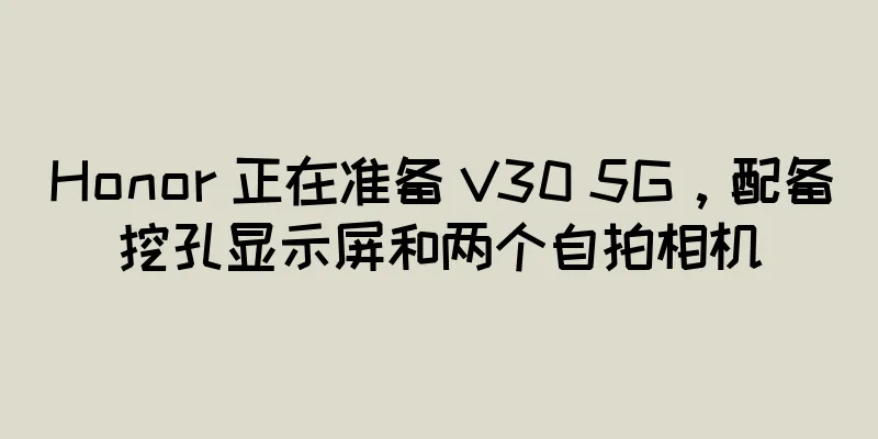 Honor 正在准备 V30 5G，配备挖孔显示屏和两个自拍相机