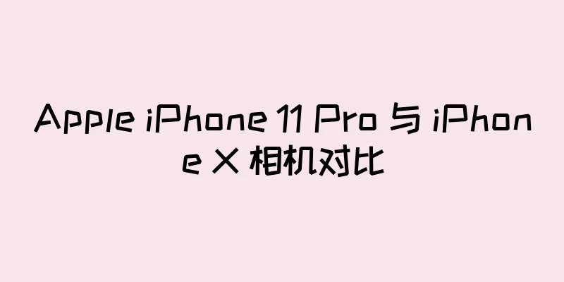 Apple iPhone 11 Pro 与 iPhone X 相机对比