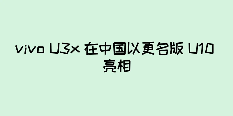 vivo U3x 在中国以更名版 U10 亮相