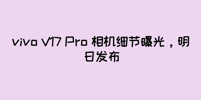 vivo V17 Pro 相机细节曝光，明日发布