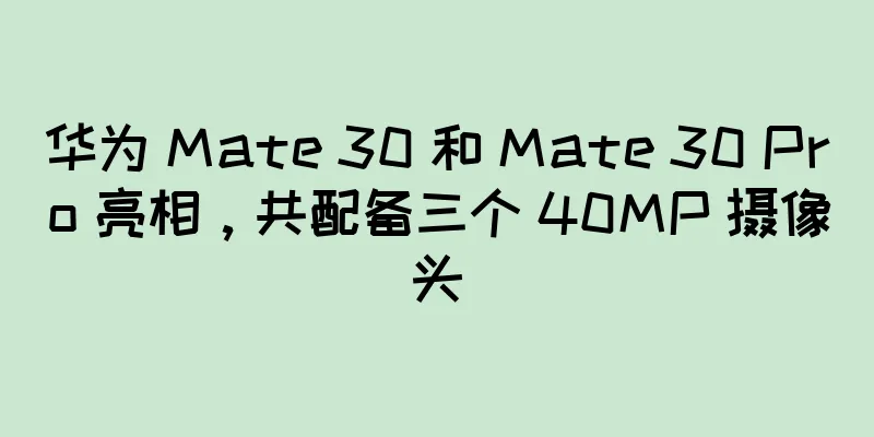 华为 Mate 30 和 Mate 30 Pro 亮相，共配备三个 40MP 摄像头