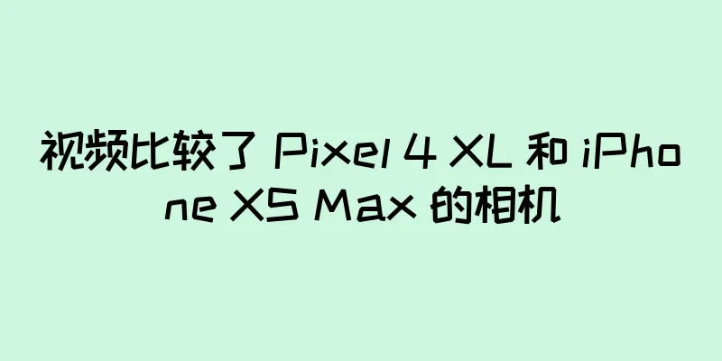 视频比较了 Pixel 4 XL 和 iPhone XS Max 的相机