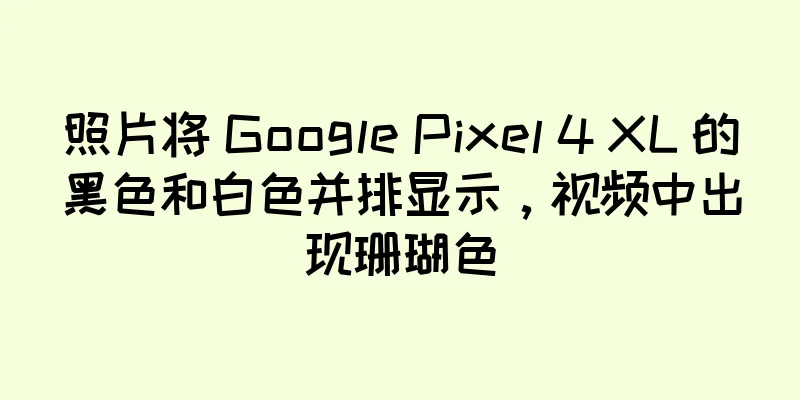 照片将 Google Pixel 4 XL 的黑色和白色并排显示，视频中出现珊瑚色